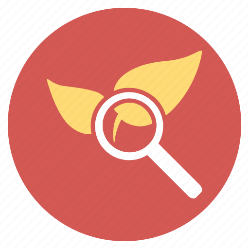 Drugs, explore, find, leaf, natural, nature, search icon - Download on Iconfinder