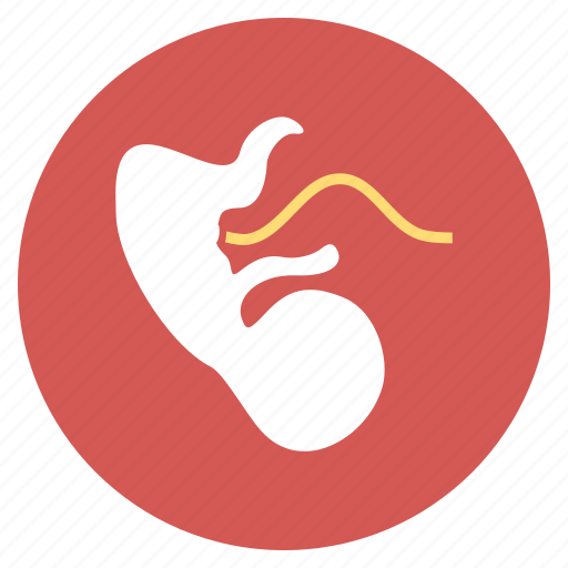 Baby, embryo, fetus, germ, pregnancy, pregnant, umbilical icon - Download on Iconfinder