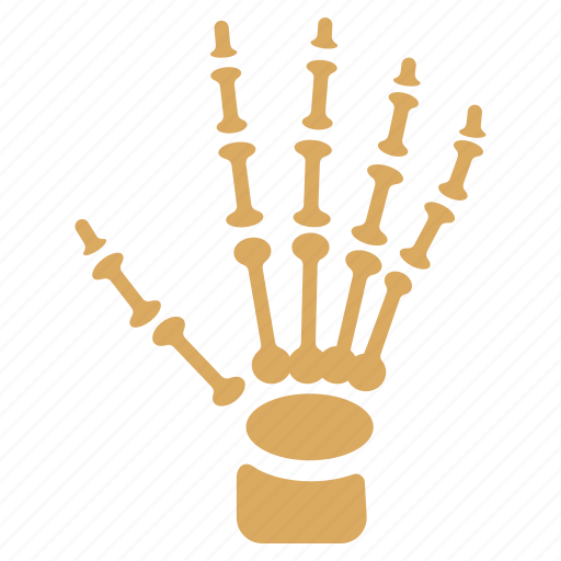 Palm, skeleton, hand, xray image, bones, phalanges, fingers icon - Download on Iconfinder