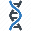 dna, genetics, genome