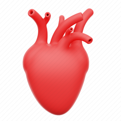 Heart, organ, human, medical 3D illustration - Download on Iconfinder