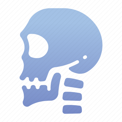 Body, bone, health, horror, human, medical, skull icon - Download on Iconfinder
