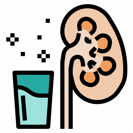 Body, dehydrate, filtration, kidney, nephron, renal, water icon - Download on Iconfinder
