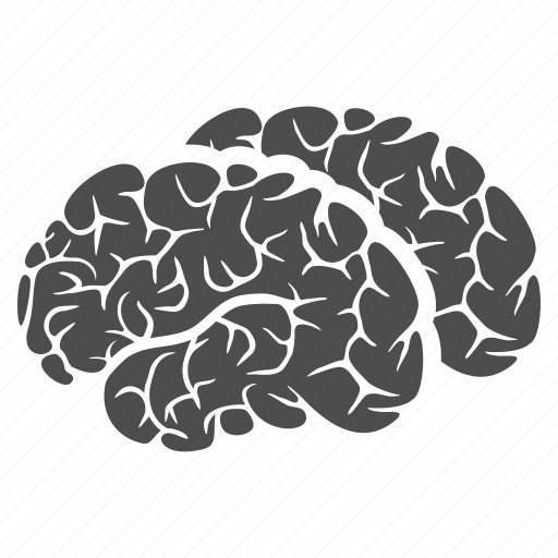 Brains, brain, human organ, idea, memory, mind, think icon - Download on Iconfinder