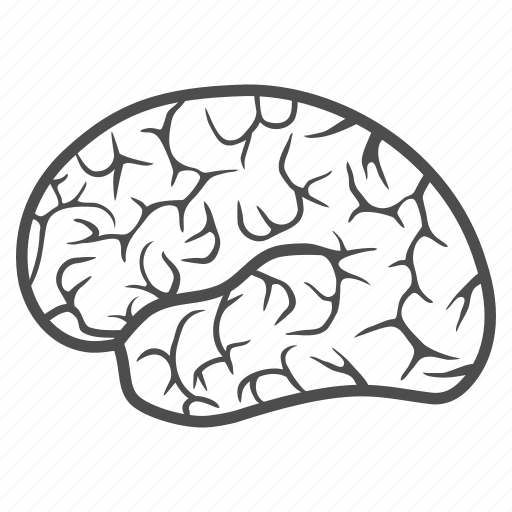 Brain, human organ, idea, memory, mind, think, thinking icon - Download on Iconfinder