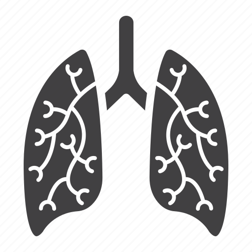 Anatomy, healthcare, human, lungs, medicine, organ, pulmonary icon - Download on Iconfinder