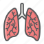 anatomy, healthcare, human, lungs, medicine, organ, pulmonary 