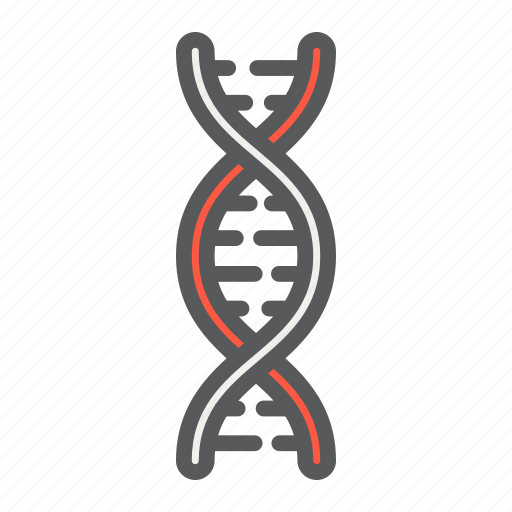 Biology, chromosome, dna, genetic, medicine, molecule, science icon - Download on Iconfinder