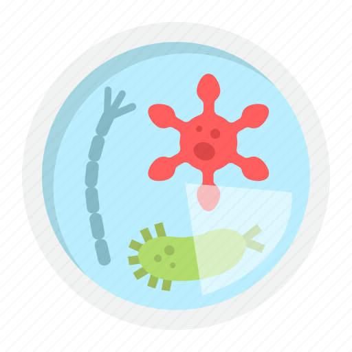 Bacteria, dish, laboratory, medicine, microbiology, petri, science icon - Download on Iconfinder