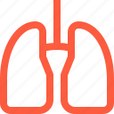body, human, lungs, medical, organ, pair, respiratory 
