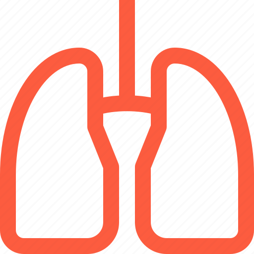 Body, human, lungs, medical, organ, pair, respiratory icon - Download on Iconfinder