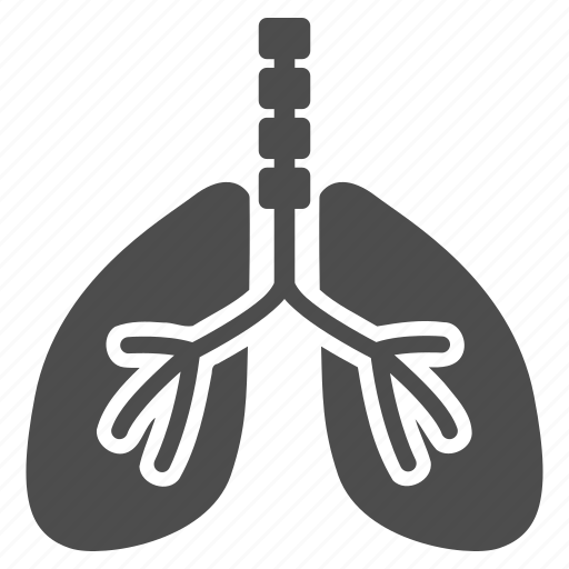 Respiratory, lung, lungs, anatomy, body, breath system, breathe icon - Download on Iconfinder