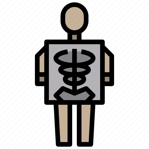 Body, human, medical, stomach, xray icon - Download on Iconfinder