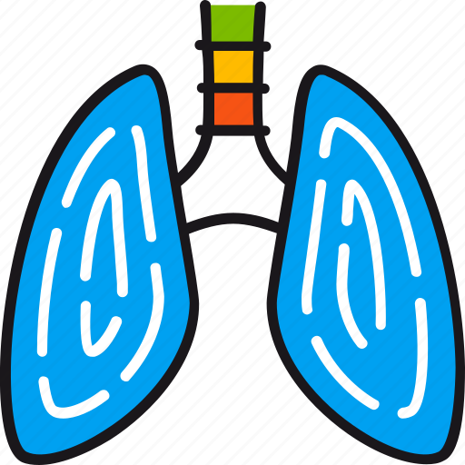 Lungs, anatomy, breathing, healthcare, medical, medicine, pulmonology icon - Download on Iconfinder