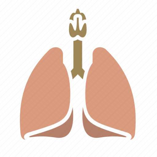 Physiology, medicine, medical, lungs, medic, anatomy, .svg icon - Download on Iconfinder