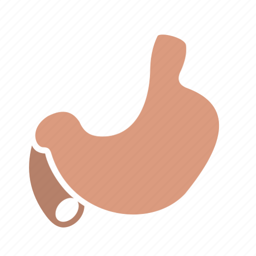 Physiology, medicine, medical, stomach, medic, anatomy, .svg icon - Download on Iconfinder