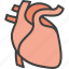 cardio, cardiology, heart 