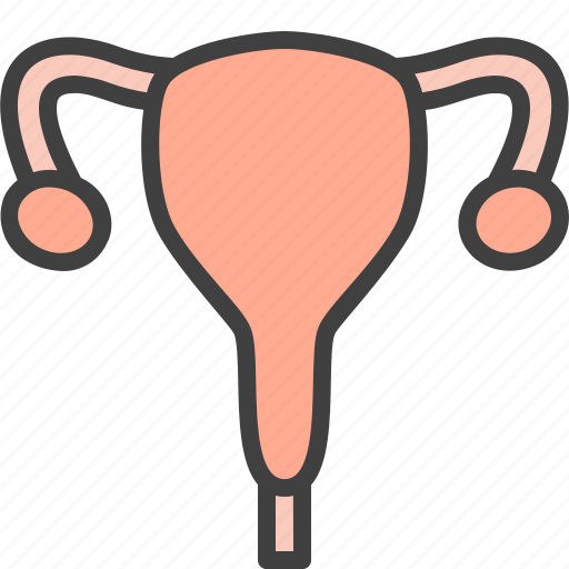 Female, gynecology, ovaries, ovary, reproductive icon - Download on Iconfinder
