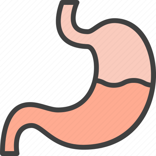 Digestion, gastroenterology, organ, stomach icon - Download on Iconfinder