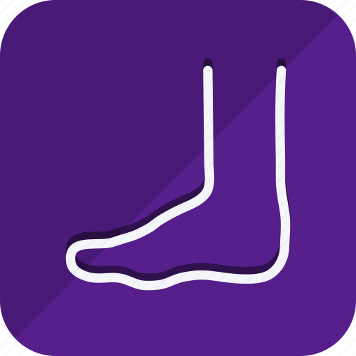 Anatomy, bodypart, healthcare, human, medical, medicine icon - Download on Iconfinder