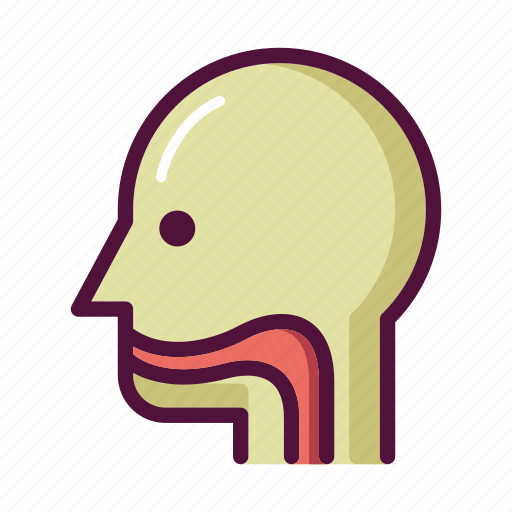 Anatomy, ent, esophagus, nasopharynx, patient, throat, organ icon - Download on Iconfinder