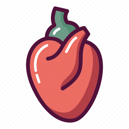 Anatomy, body, heart, muscle, blood system, cardiology, organ icon - Download on Iconfinder
