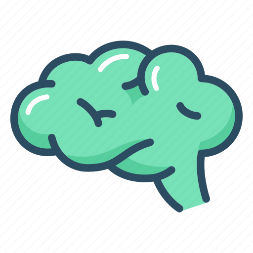 Anatomy, brain, mind, organ, human, medical, nervous system icon - Download on Iconfinder