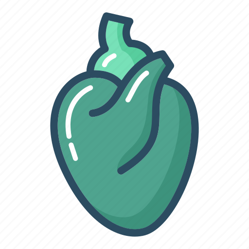Anatomy, body, heart, blood system, heart muscle, medical, organ icon - Download on Iconfinder