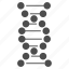 dna structure, genetic biology, genetic engineering, genetics, genome chain, science, spiral molecule 