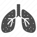 lungs, anatomy, body, breath system, breathe, lung, respiratory