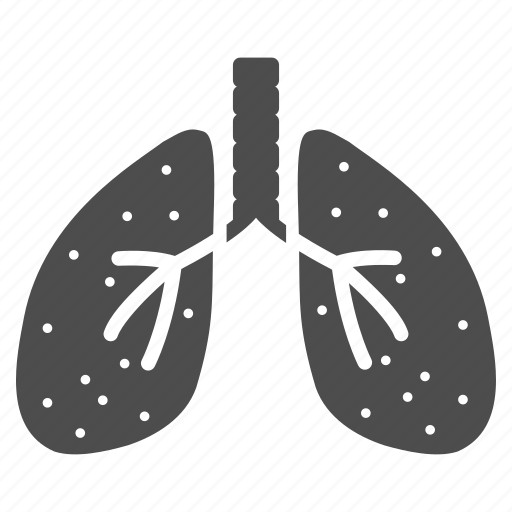 Lungs, anatomy, body, breath system, breathe, lung, respiratory icon - Download on Iconfinder