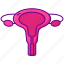 gynaecologist, uterus, womb 