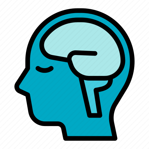 Brain, idea, intelligent, brainstorm, creativity, human, mind icon - Download on Iconfinder