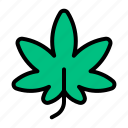 cannabis, hemp, leaf, marijuana, sativa, indica, medicine