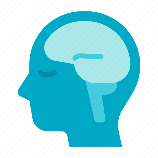 Brain, idea, intelligent, brainstorm, creativity, human, mind icon - Download on Iconfinder