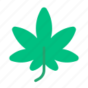 cannabis, hemp, leaf, marijuana, sativa, indica, medicine