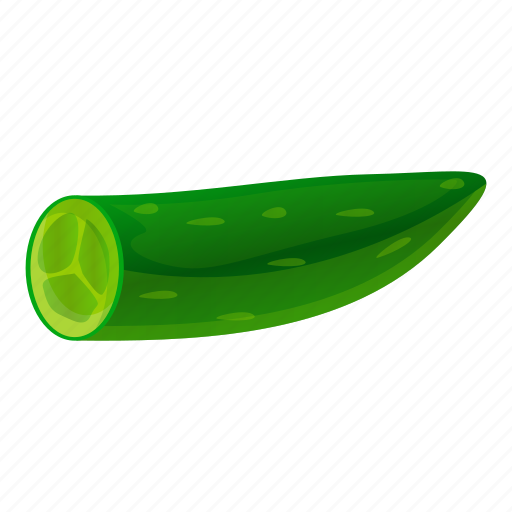 Cucumber, cutted, flower, food, frame, hand icon - Download on Iconfinder