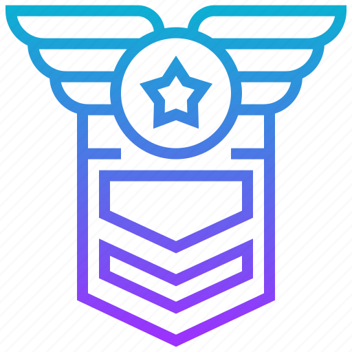 Badge, military, tag, war icon - Download on Iconfinder
