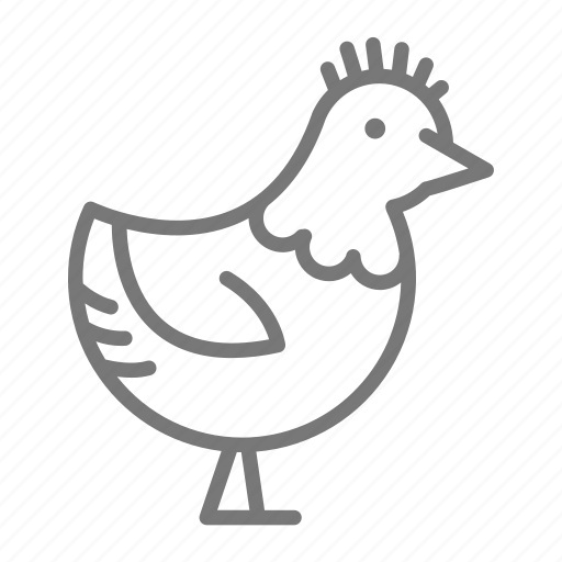 Animal, bird, chicken, egg, hen icon - Download on Iconfinder