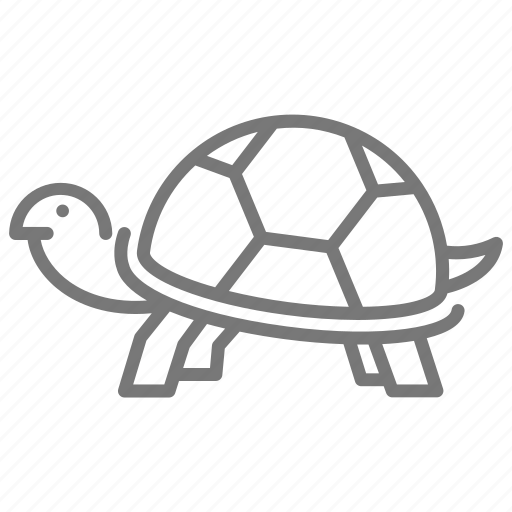 Reptile, shell, tortoise, turtle, zoo icon - Download on Iconfinder