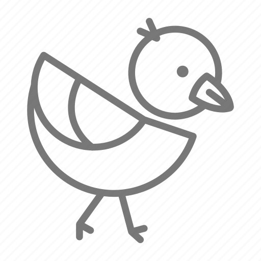 Bird, feathers, zoo, chick icon - Download on Iconfinder
