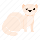 white, cute, mink, animal