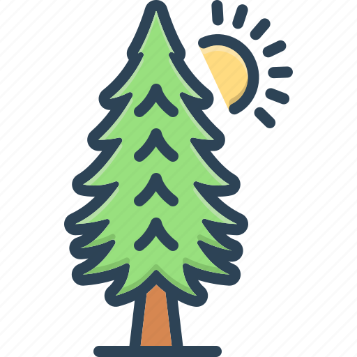 Environment, evergreen, forest, pine, timber, tree, trees icon - Download on Iconfinder