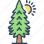 environment, evergreen, forest, pine, timber, tree, trees 