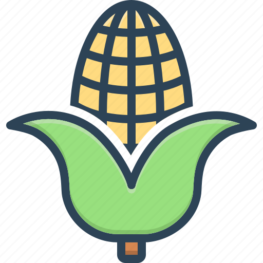 Agricultural, corn, cultivation, maize, nutrition, popcorn, sweetcorn icon - Download on Iconfinder
