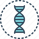 identity, helix, chromosome, genetic, dna spiral, dna, human