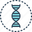 identity, helix, chromosome, genetic, dna spiral, dna, human 