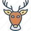 deer, head, antelope, animal, antler, horn, reindeer 