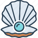 shell, pearl, scallop, seashell, aquatic, clams, nautical