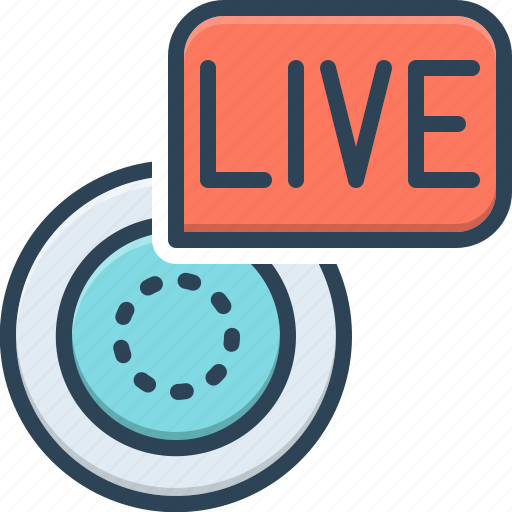 Webcast, webinar, live, broadcast, camera, connection, device icon - Download on Iconfinder